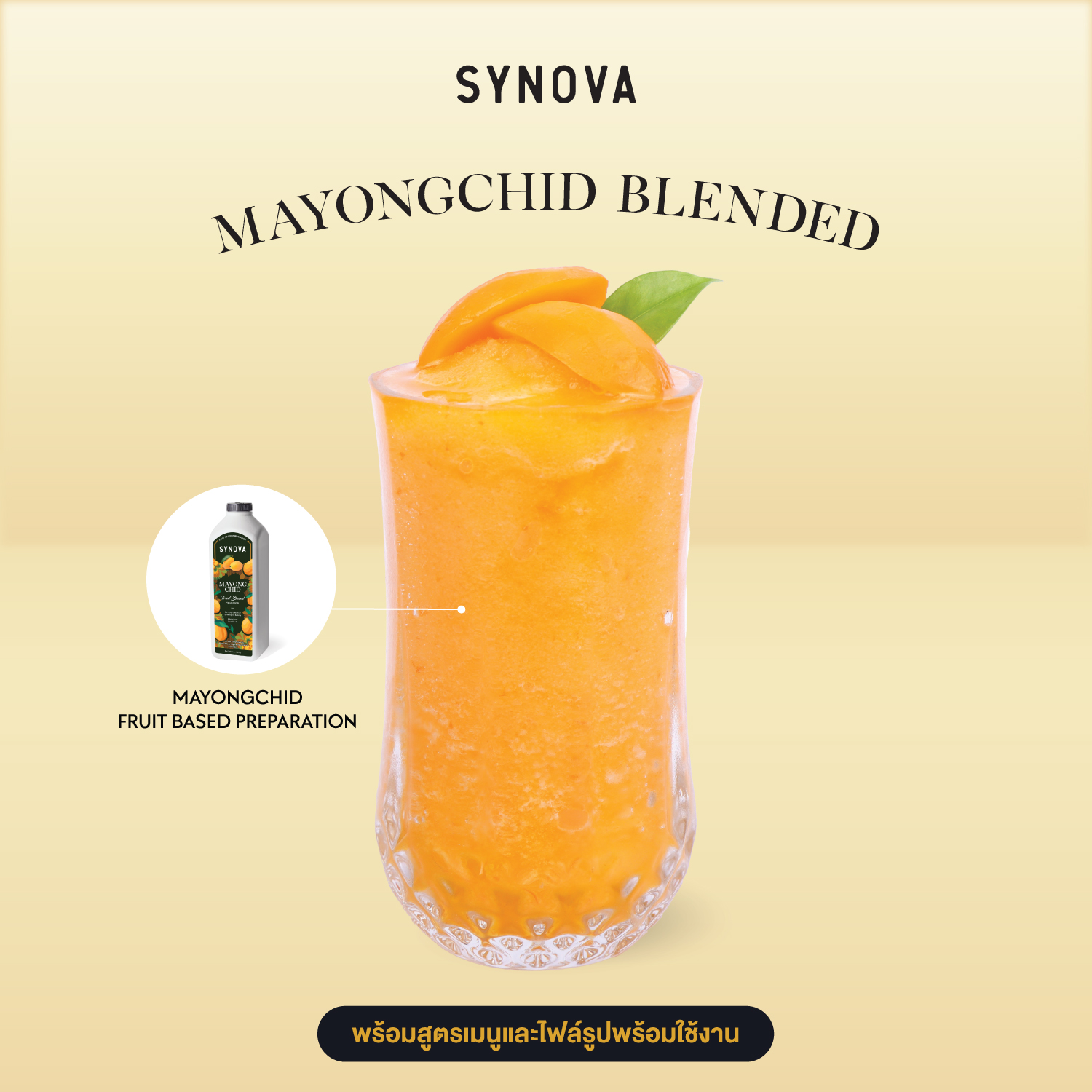 SYNOVA Mayongchid Blended (SET)