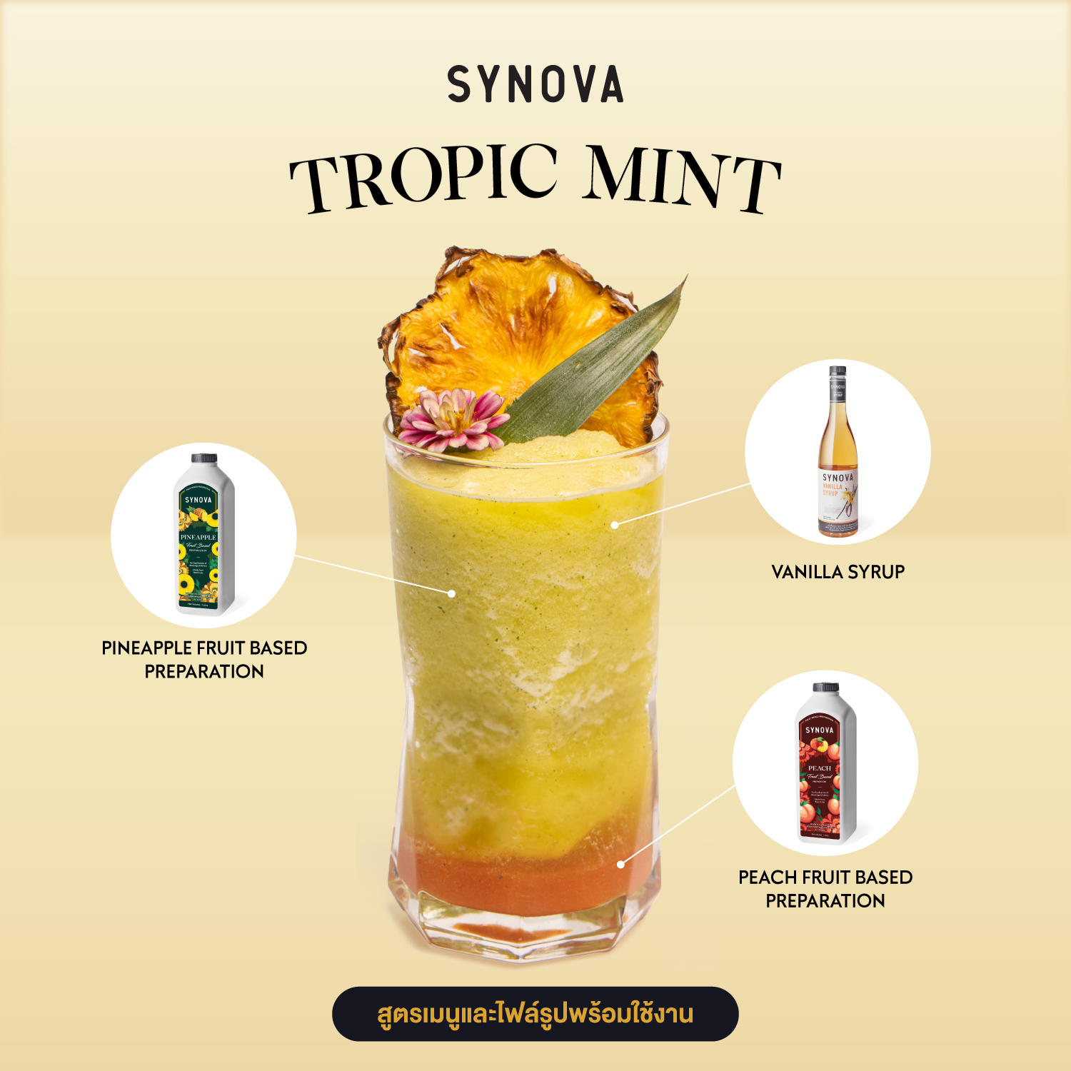 เซ็ตเครื่องดื่ม SYNOVA : ทรอปิก มินต์ (เซ็ต)