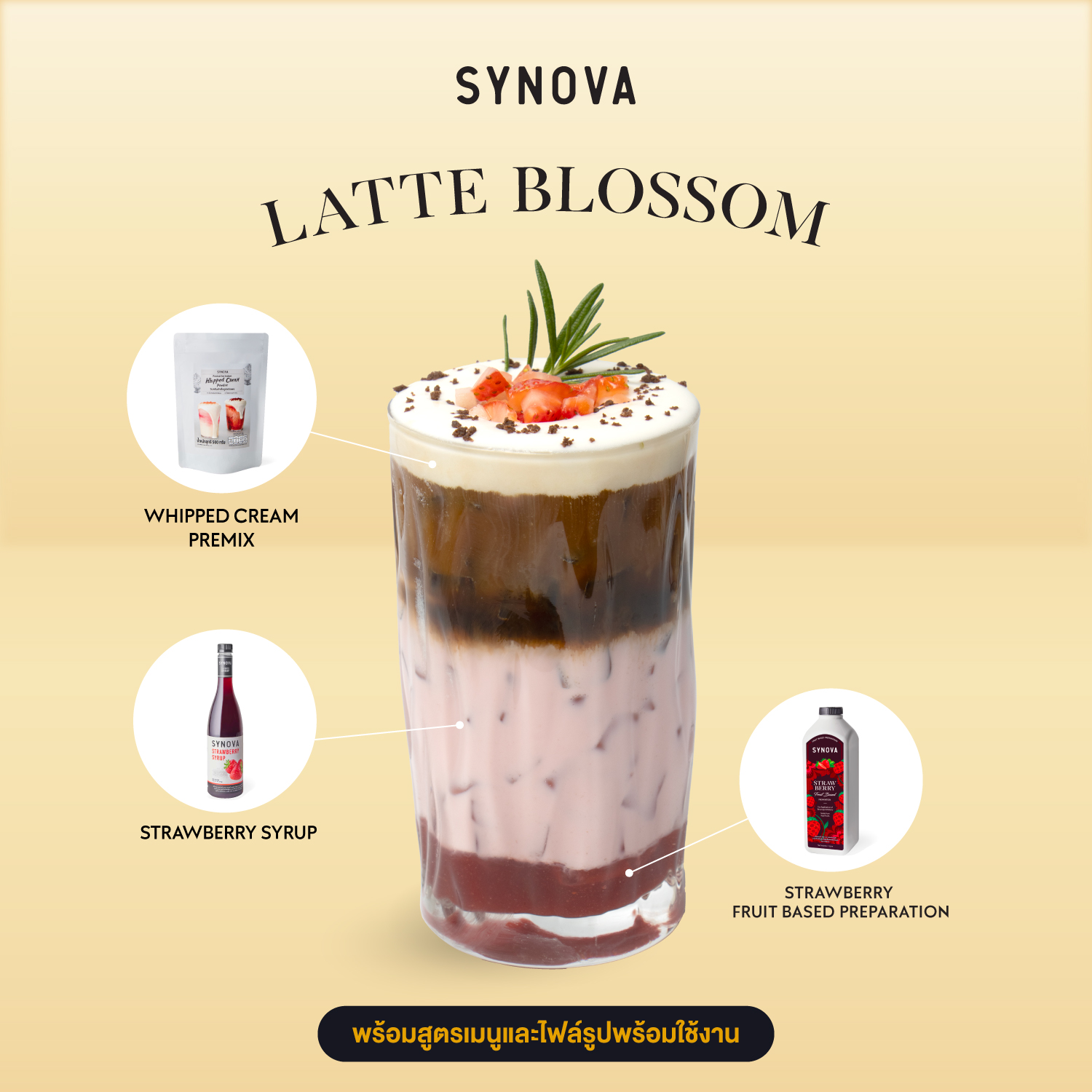 เซ็ตเครื่องดื่ม SYNOVA : ลาเต้ บลอสซั่ม (เซ็ต)