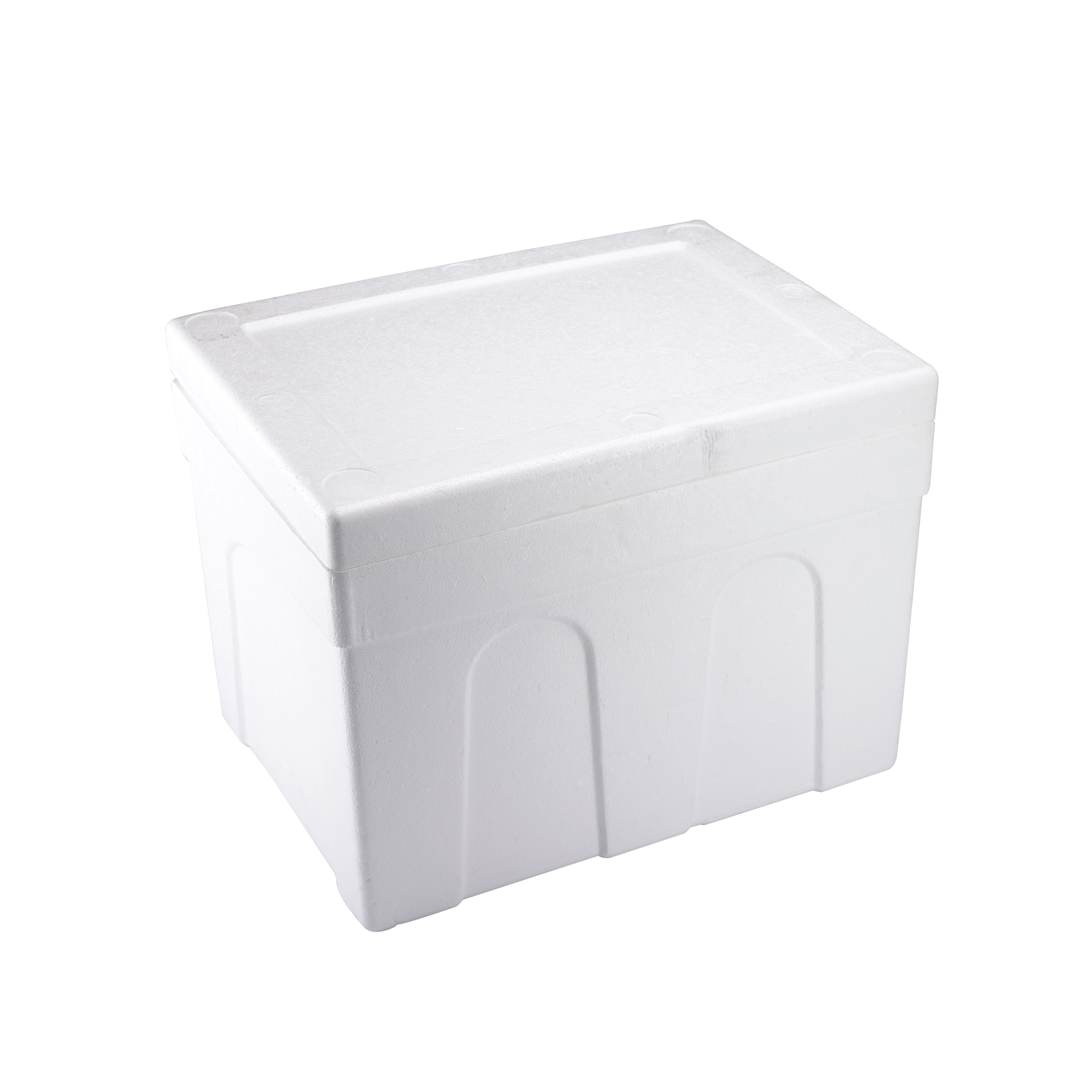 SYNOVA Container & Dry Ice (Box)