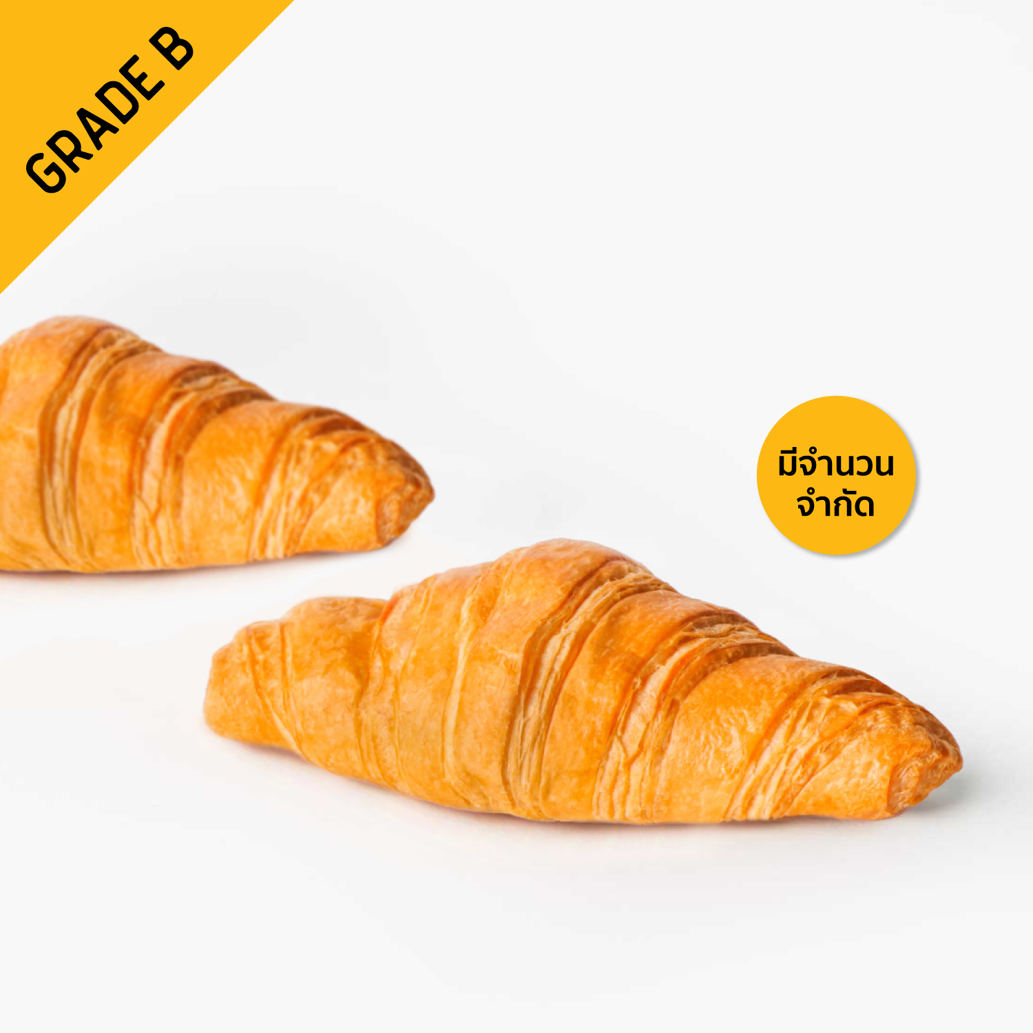 SYNOVA Butter Croissant Diamond Shape (Grade B) (Box)