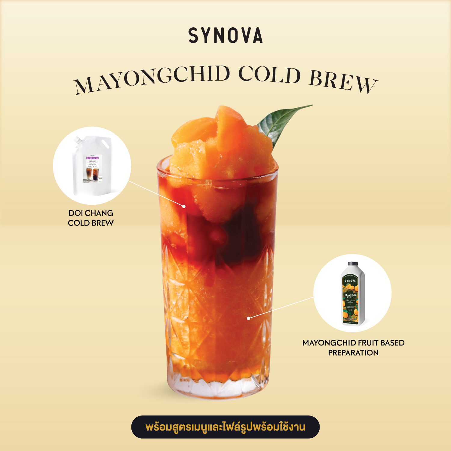 เซ็ตเครื่องดื่ม SYNOVA : เมนูมะยงชิดโคลด์บริวปั่น (เซ็ต)