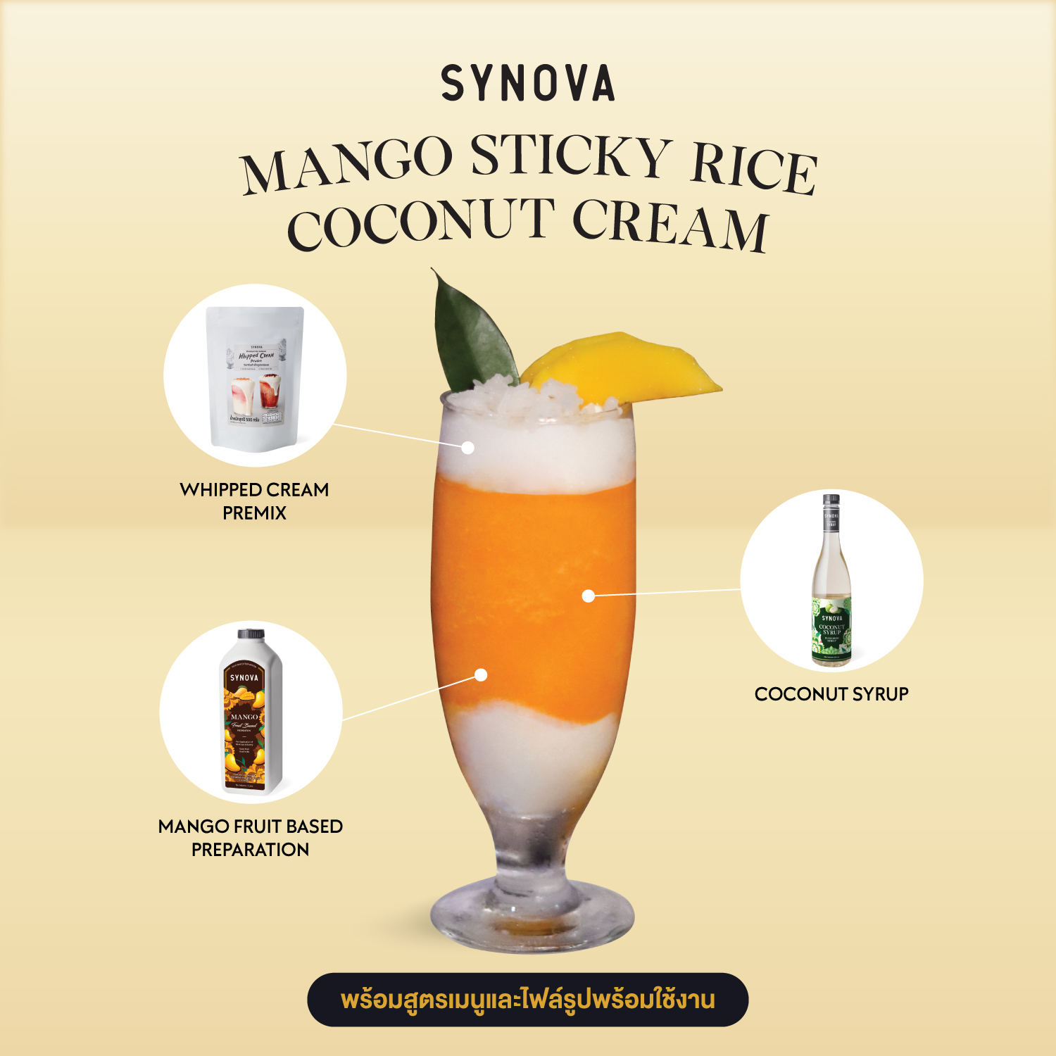 เซ็ตเครื่องดื่ม SYNOVA : เมนูมะม่วงปั่นครีมมะพร้าว (เซ็ต)