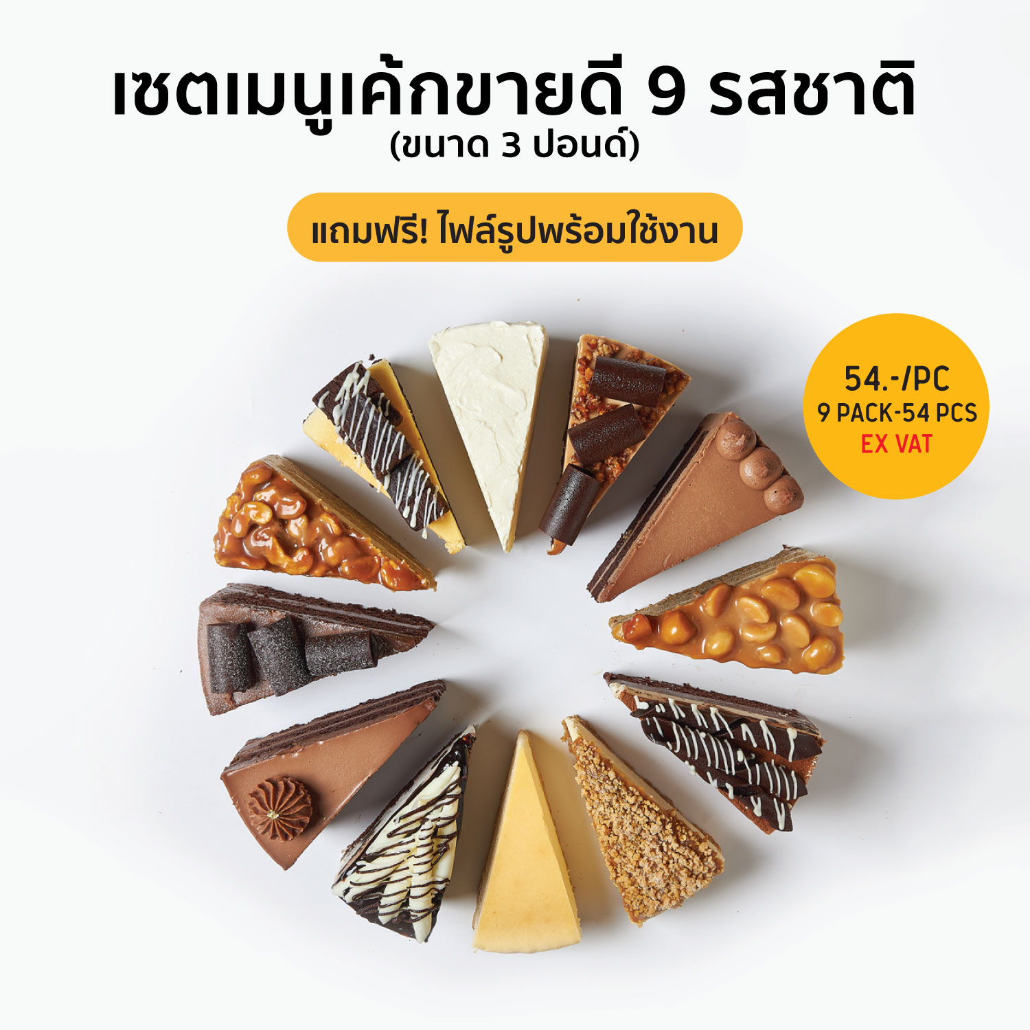เซ็ตเค้กแช่แข็ง SYNOVA : เค้กขายดี 9 รสชาติ (ขนาด 3ปอนด์)